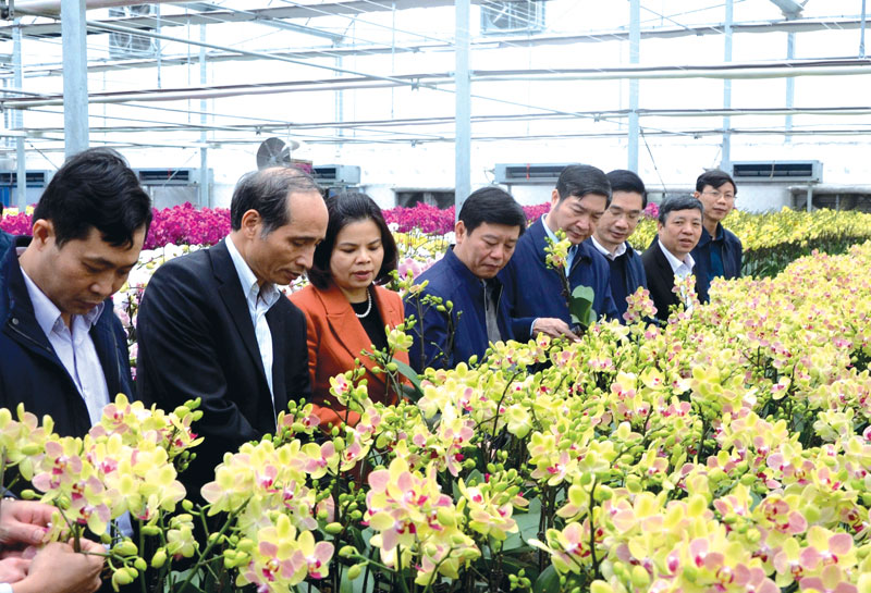 Chủ tịch UBND tỉnh thăm một số mô hình sản xuất nông nghiệp ứng dụng công nghệ cao